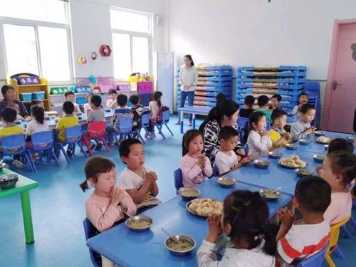 幼儿园餐照引发家长疑虑 孩子口中的美味与现实的差距