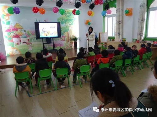 小荷已露尖尖角——实小幼儿园成长纪实